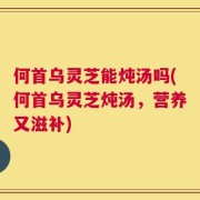 何首乌灵芝能炖汤吗(何首乌灵芝炖汤，营养又滋补)