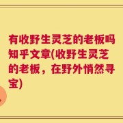 有收野生灵芝的老板吗知乎文章(收野生灵芝的老板，在野外悄然寻宝)