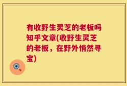 有收野生灵芝的老板吗知乎文章(收野生灵芝的老板，在野外悄然寻宝)