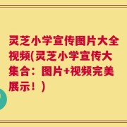 灵芝小学宣传图片大全视频(灵芝小学宣传大集合：图片+视频完美展示！)