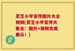 灵芝小学宣传图片大全视频(灵芝小学宣传大集合：图片+视频完美展示！)