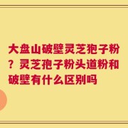 大盘山破壁灵芝狍子粉？灵芝孢子粉头道粉和破壁有什么区别吗