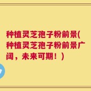 种植灵芝孢子粉前景(种植灵芝孢子粉前景广阔，未来可期！)