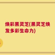 焕彩黑灵芝(黑灵芝焕发多彩生命力)