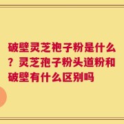 破壁灵芝袍子粉是什么？灵芝孢子粉头道粉和破壁有什么区别吗