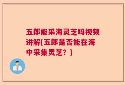 五郎能采海灵芝吗视频讲解(五郎是否能在海中采集灵芝？)