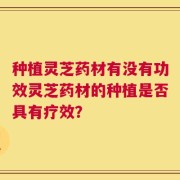 种植灵芝药材有没有功效灵芝药材的种植是否具有疗效？