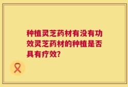 种植灵芝药材有没有功效灵芝药材的种植是否具有疗效？
