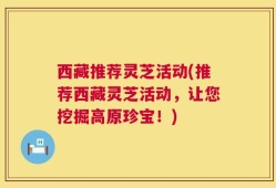 西藏推荐灵芝活动(推荐西藏灵芝活动，让您挖掘高原珍宝！)
