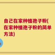 自己在家种植孢子粉(在家种植孢子粉的简单方法)