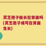 灵芝孢子能长在背面吗(灵芝孢子或可在背面生长)