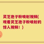 灵芝孢子粉喷射视频(观看灵芝孢子粉喷射的惊人视频！)