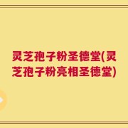 灵芝孢子粉圣德堂(灵芝孢子粉亮相圣德堂)