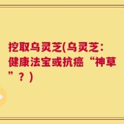 挖取乌灵芝(乌灵芝：健康法宝或抗癌“神草”？)