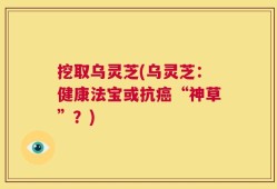挖取乌灵芝(乌灵芝：健康法宝或抗癌“神草”？)