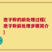 孢子粉的前处理过程(孢子粉前处理步骤简介)