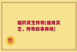 猪药灵芝传奇(猪用灵芝，传奇故事再现)