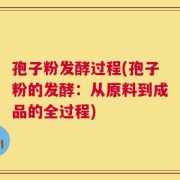 孢子粉发酵过程(孢子粉的发酵：从原料到成品的全过程)