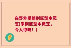 在野外采摘到巨型木灵芝(采到巨型木灵芝，令人惊叹！)