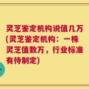 灵芝鉴定机构说值几万(灵芝鉴定机构：一株灵芝值数万，行业标准有待制定)