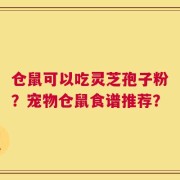 仓鼠可以吃灵芝孢子粉？宠物仓鼠食谱推荐？