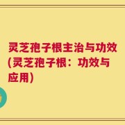 灵芝孢子根主治与功效(灵芝孢子根：功效与应用)