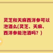 灵芝和天麻西洋参可以泡酒么(灵芝、天麻、西洋参能泡酒吗？)
