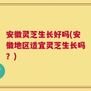 安徽灵芝生长好吗(安徽地区适宜灵芝生长吗？)