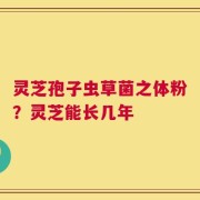 灵芝孢子虫草菌之体粉？灵芝能长几年