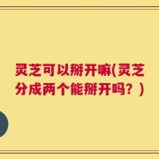 灵芝可以掰开嘛(灵芝分成两个能掰开吗？)