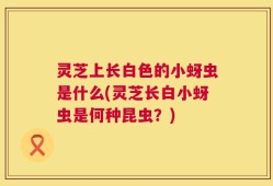 灵芝上长白色的小蚜虫是什么(灵芝长白小蚜虫是何种昆虫？)