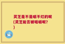 灵芝是不是嚼不烂的呢(灵芝能否被咀嚼呢？)