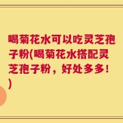 喝菊花水可以吃灵芝孢子粉(喝菊花水搭配灵芝孢子粉，好处多多！)