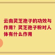云南灵芝孢子的功效与作用？灵芝孢子粉对人体有什么作用