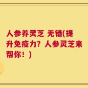 人参养灵芝 无错(提升免疫力？人参灵芝来帮你！)
