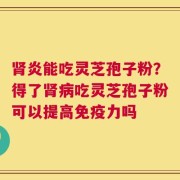 肾炎能吃灵芝孢子粉？得了肾病吃灵芝孢子粉可以提高免疫力吗