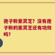 孢子粉紫灵芝？没有孢子粉的紫灵芝还有功效吗？
