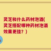 灵芝和什么药材泡酒(灵芝搭配哪种药材泡酒效果更佳？)