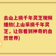 去山上摘千年灵芝视频播放(上山采摘千年灵芝，让你看到神奇的自然世界)