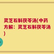 灵芝石斛茯苓汤(中药方解：灵芝石斛茯苓汤)
