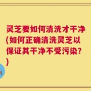 灵芝要如何清洗才干净(如何正确清洗灵芝以保证其干净不受污染？)
