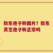敖东孢子粉图片？敖东灵芝孢子粉正宗吗