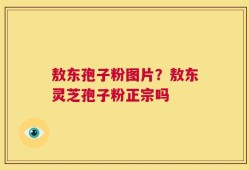敖东孢子粉图片？敖东灵芝孢子粉正宗吗