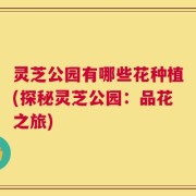 灵芝公园有哪些花种植(探秘灵芝公园：品花之旅)