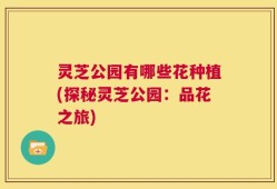 灵芝公园有哪些花种植(探秘灵芝公园：品花之旅)