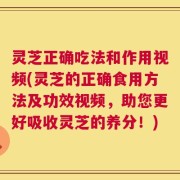灵芝正确吃法和作用视频(灵芝的正确食用方法及功效视频，助您更好吸收灵芝的养分！)