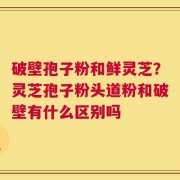 破壁孢子粉和鲜灵芝？灵芝孢子粉头道粉和破壁有什么区别吗