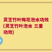 灵芝竹叶梅花泡水功效(灵芝竹叶泡水 三重功效)