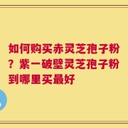 如何购买赤灵芝孢子粉？紫一破壁灵芝孢子粉到哪里买最好