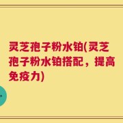 灵芝孢子粉水铂(灵芝孢子粉水铂搭配，提高免疫力)